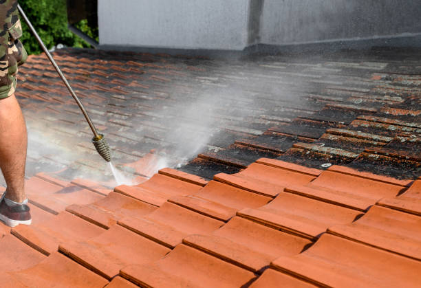 Best Pressure Washing Company Near Me  in Sparkill, NY
